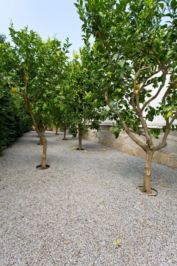 Boutique Rentals- Hidden Garden Porto'S Downtown Экстерьер фото
